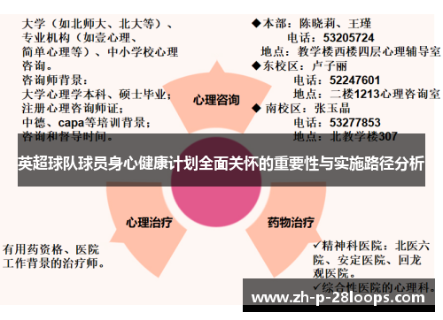 英超球队球员身心健康计划全面关怀的重要性与实施路径分析
