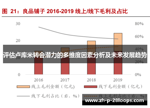评估卢库米转会潜力的多维度因素分析及未来发展趋势